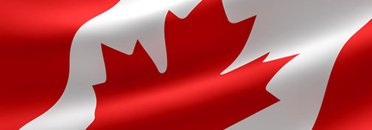 Trusted by Professionals Across North America